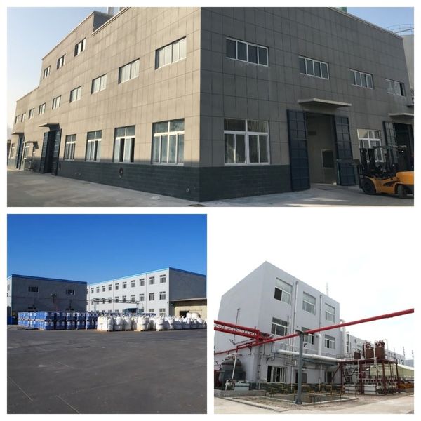 الصين Shandong Jiuchong Chemical Co., Ltd. ملف الشركة