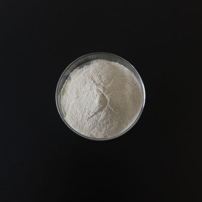Cas 13463-43-9 Raw Material Chemicals Ferrous Sulfate Monohydrate FeSO4 H2O 91%