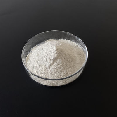 Cas 13463-43-9 Raw Material Chemicals Ferrous Sulfate Monohydrate FeSO4 H2O 91%