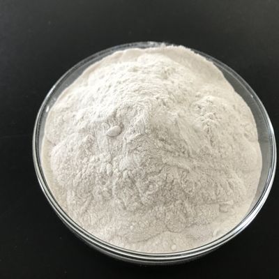 Fertilizer Grade Magnesium Sulfate Monohydrate Powder MgsoH2O