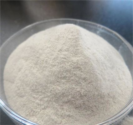 FeSO4 H2O Ferrous Sulfate Monohydrate Powder 91% CAS 13463-43-9