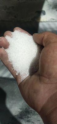 Fertilizer Grade NH42So4 Ammonium Sulphate Granules N 21% S 24%